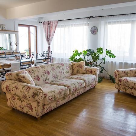 Silvia'S Apartment Voluntari Buitenkant foto